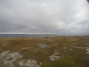 Photograph of Pinchard's Island, Newfoundland — October 9, 2017 at 10:58 AM