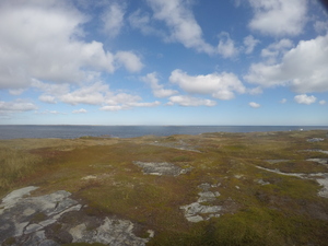 Photograph of Pinchard's Island, Newfoundland — October 9, 2017 at 11:58 AM