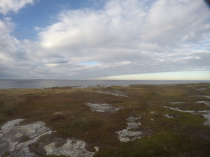 Photograph of Pinchard's Island, Newfoundland — October 10, 2017 at 4:58 PM