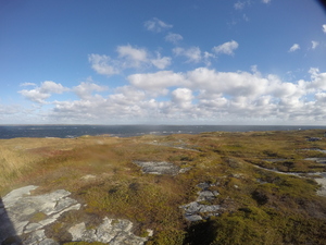 Photograph of Pinchard's Island, Newfoundland — October 11, 2017 at 9:58 AM