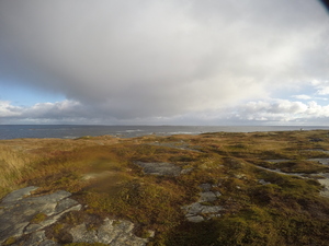 Photograph of Pinchard's Island, Newfoundland — October 12, 2017 at 8:58 AM
