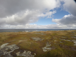 Photograph of Pinchard's Island, Newfoundland — October 12, 2017 at 11:58 AM