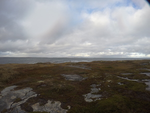 Photograph of Pinchard's Island, Newfoundland — October 12, 2017 at 4:42 PM