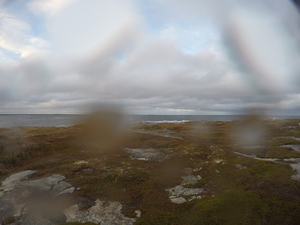 Photograph of Pinchard's Island, Newfoundland — October 12, 2017 at 5:58 PM
