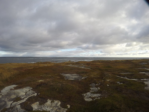 Photograph of Pinchard's Island, Newfoundland — October 13, 2017 at 8:58 AM