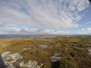 Photograph of Pinchard's Island, Newfoundland — October 13, 2017 at 9:58 AM