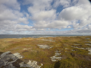 Photograph of Pinchard's Island, Newfoundland — October 13, 2017 at 10:58 AM