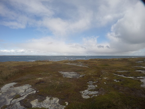 Photograph of Pinchard's Island, Newfoundland — October 13, 2017 at 11:58 AM