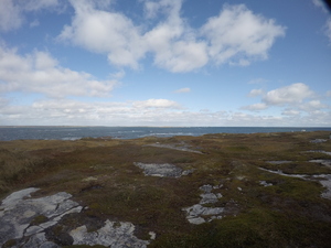 Photograph of Pinchard's Island, Newfoundland — October 13, 2017 at 12:58 PM