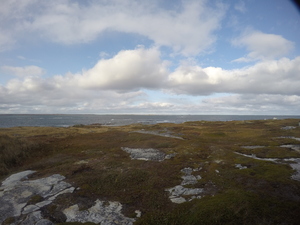 Photograph of Pinchard's Island, Newfoundland — October 13, 2017 at 3:58 PM