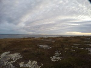 Photograph of Pinchard's Island, Newfoundland — October 14, 2017 at 7:58 AM