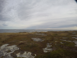Photograph of Pinchard's Island, Newfoundland — October 14, 2017 at 8:58 AM