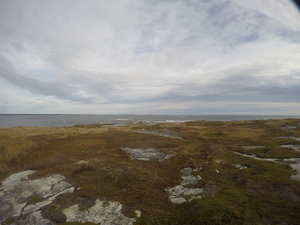 Photograph of Pinchard's Island, Newfoundland — October 14, 2017 at 9:58 AM