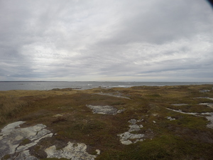 Photograph of Pinchard's Island, Newfoundland — October 14, 2017 at 10:58 AM