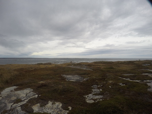 Photograph of Pinchard's Island, Newfoundland — October 14, 2017 at 11:58 AM