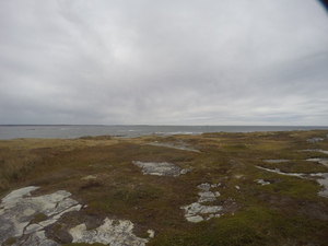 Photograph of Pinchard's Island, Newfoundland — October 14, 2017 at 12:58 PM