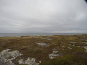 Photograph of Pinchard's Island, Newfoundland — October 14, 2017 at 1:58 PM