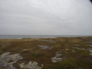 Photograph of Pinchard's Island, Newfoundland — October 14, 2017 at 2:58 PM