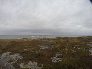 Photograph of Pinchard's Island, Newfoundland — October 14, 2017 at 3:58 PM