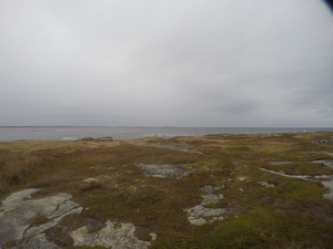 Photograph of Pinchard's Island, Newfoundland — October 14, 2017 at 4:58 PM