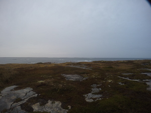 Photograph of Pinchard's Island, Newfoundland — October 14, 2017 at 5:58 PM