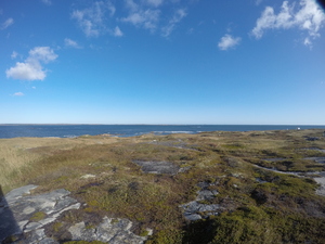 Photograph of Pinchard's Island, Newfoundland — October 15, 2017 at 9:58 AM