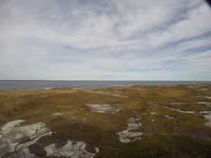 Photograph of Pinchard's Island, Newfoundland — October 15, 2017 at 12:58 PM