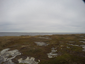Photograph of Pinchard's Island, Newfoundland — October 15, 2017 at 1:58 PM