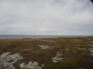 Photograph of Pinchard's Island, Newfoundland — October 15, 2017 at 2:58 PM