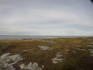 Photograph of Pinchard's Island, Newfoundland — October 15, 2017 at 3:58 PM