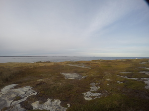 Photograph of Pinchard's Island, Newfoundland — October 15, 2017 at 4:58 PM