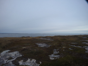 Photograph of Pinchard's Island, Newfoundland — October 15, 2017 at 5:58 PM