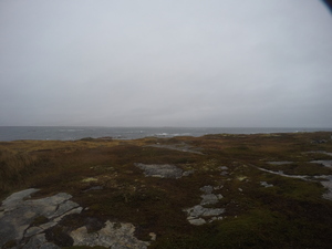 Photograph of Pinchard's Island, Newfoundland — October 16, 2017 at 7:58 AM