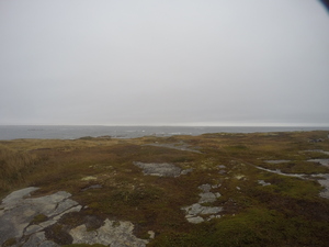 Photograph of Pinchard's Island, Newfoundland — October 16, 2017 at 8:58 AM