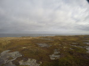 Photograph of Pinchard's Island, Newfoundland — October 16, 2017 at 9:58 AM