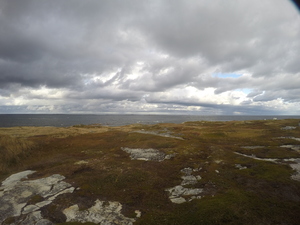 Photograph of Pinchard's Island, Newfoundland — October 16, 2017 at 3:58 PM