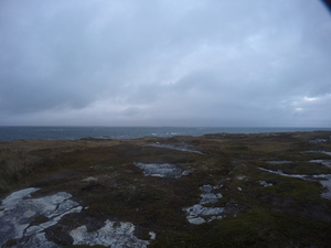 Photograph of Pinchard's Island, Newfoundland — October 16, 2017 at 5:58 PM
