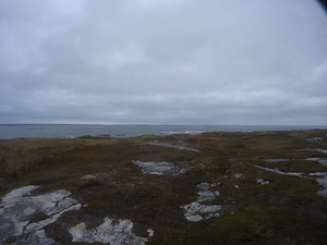Photograph of Pinchard's Island, Newfoundland — October 17, 2017 at 7:58 AM