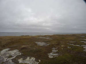 Photograph of Pinchard's Island, Newfoundland — October 17, 2017 at 8:58 AM