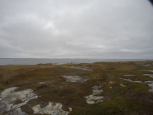 Photograph of Pinchard's Island, Newfoundland — October 17, 2017 at 9:58 AM