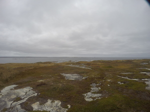 Photograph of Pinchard's Island, Newfoundland — October 17, 2017 at 10:58 AM