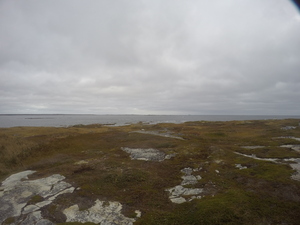 Photograph of Pinchard's Island, Newfoundland — October 17, 2017 at 11:58 AM