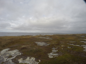 Photograph of Pinchard's Island, Newfoundland — October 17, 2017 at 12:58 PM