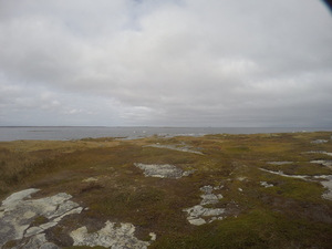 Photograph of Pinchard's Island, Newfoundland — October 17, 2017 at 1:58 PM