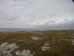 Photograph of Pinchard's Island, Newfoundland — October 17, 2017 at 2:58 PM