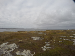 Photograph of Pinchard's Island, Newfoundland — October 17, 2017 at 3:58 PM