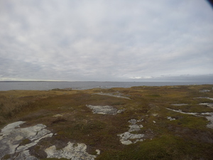 Photograph of Pinchard's Island, Newfoundland — October 17, 2017 at 4:58 PM