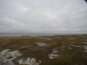 Photograph of Pinchard's Island, Newfoundland — October 18, 2017 at 8:58 AM