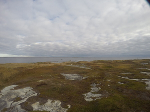 Photograph of Pinchard's Island, Newfoundland — October 18, 2017 at 9:58 AM