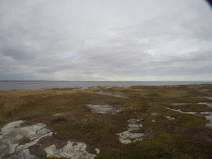 Photograph of Pinchard's Island, Newfoundland — October 18, 2017 at 1:58 PM
